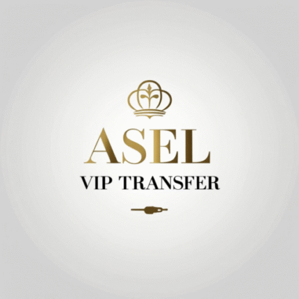 Asel Vip logo