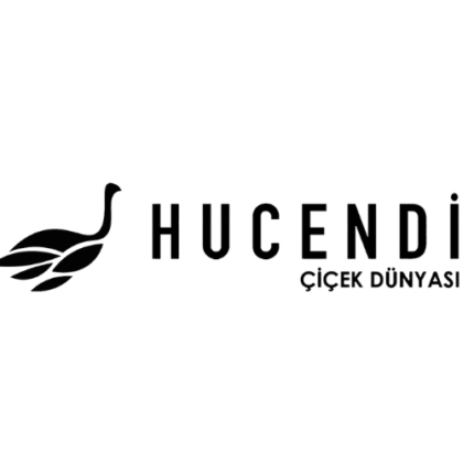 Hucendi logo (1)